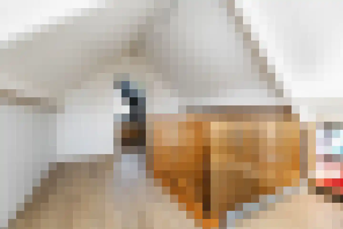 Wiedenland 32 Nieuwleusen thumbnail 37