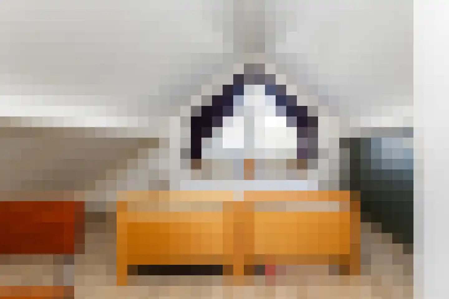 Wiedenland 32 Nieuwleusen thumbnail 38