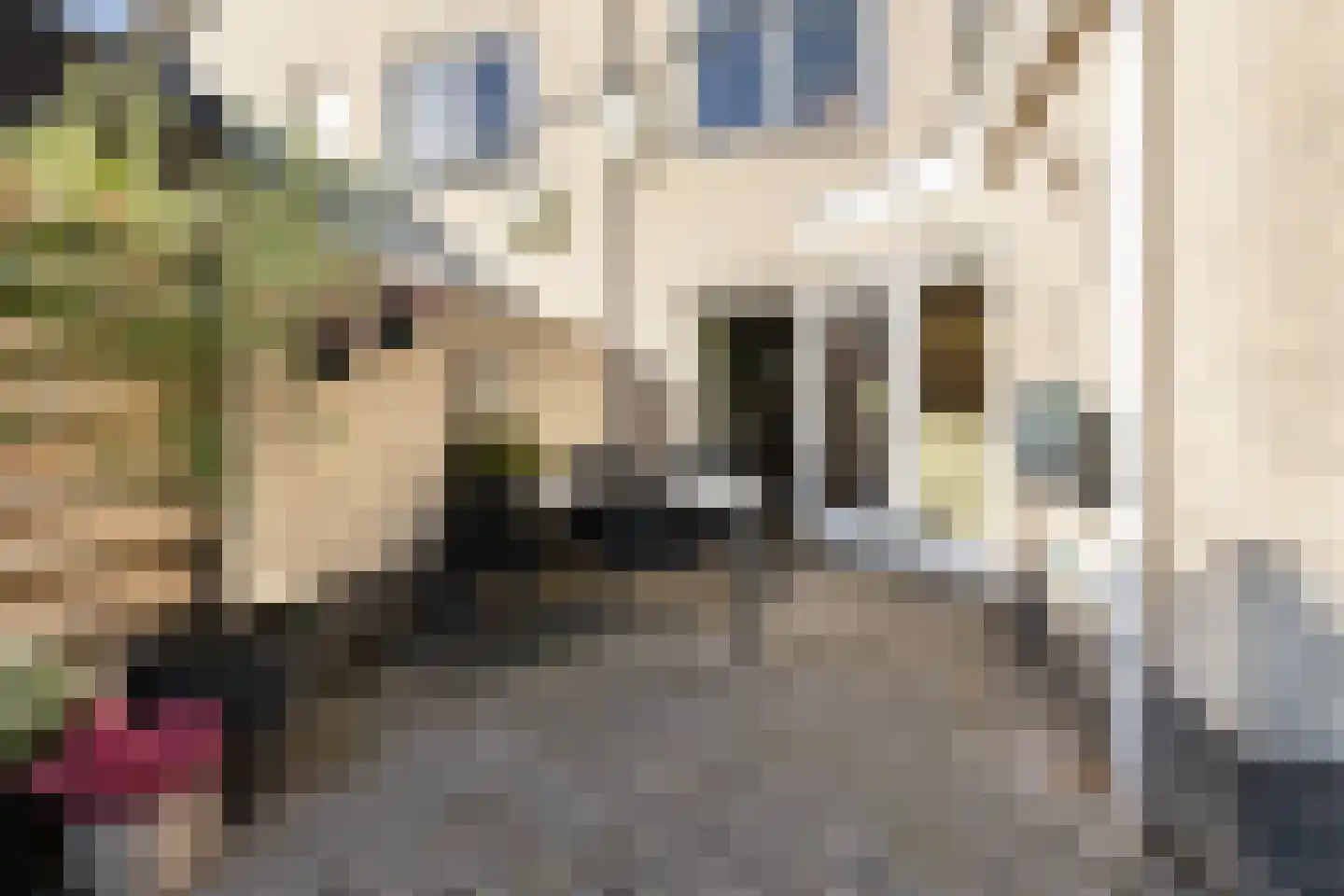 Wiedenland 32 Nieuwleusen thumbnail 40
