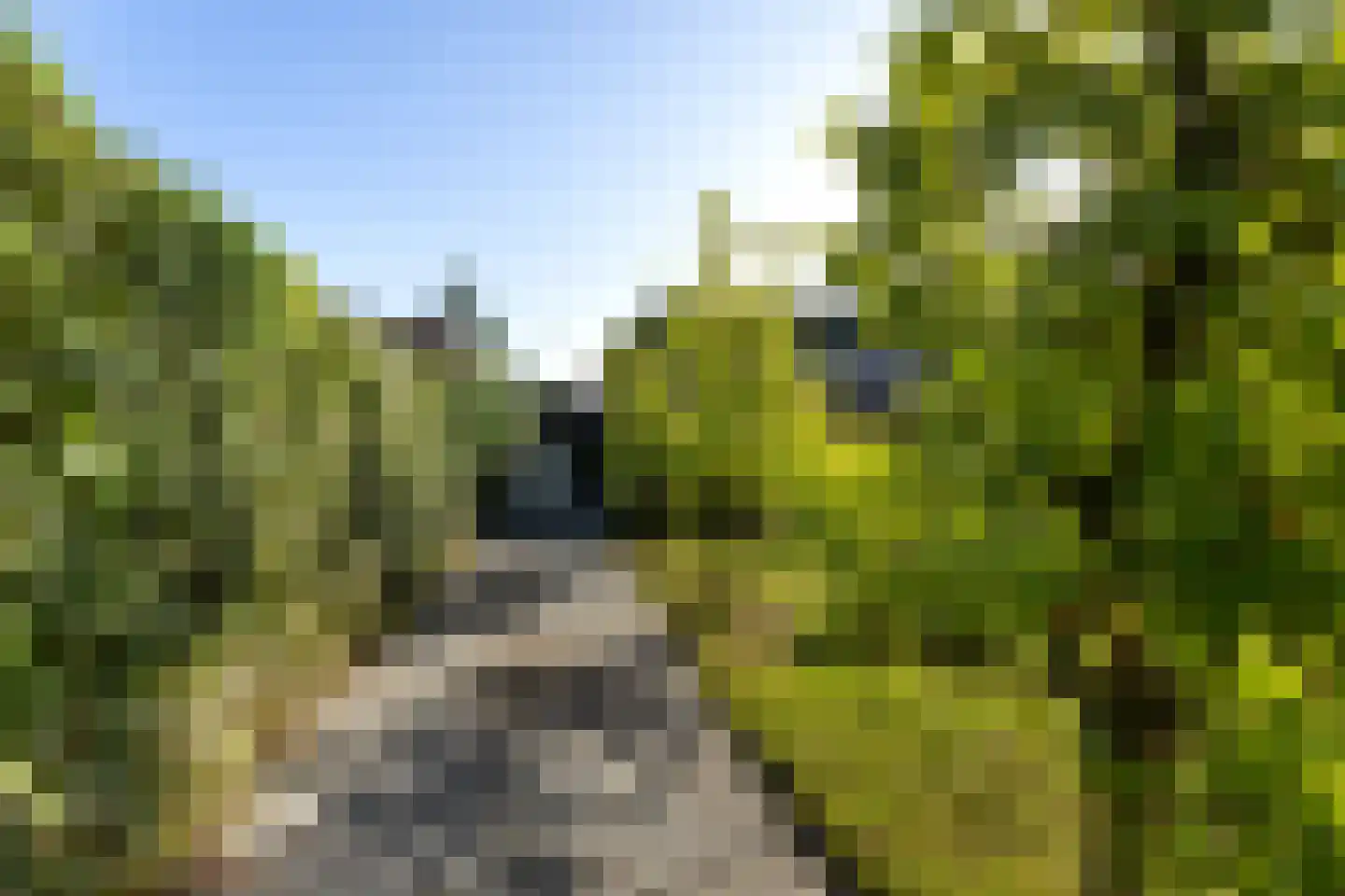 Wiedenland 32 Nieuwleusen thumbnail 43