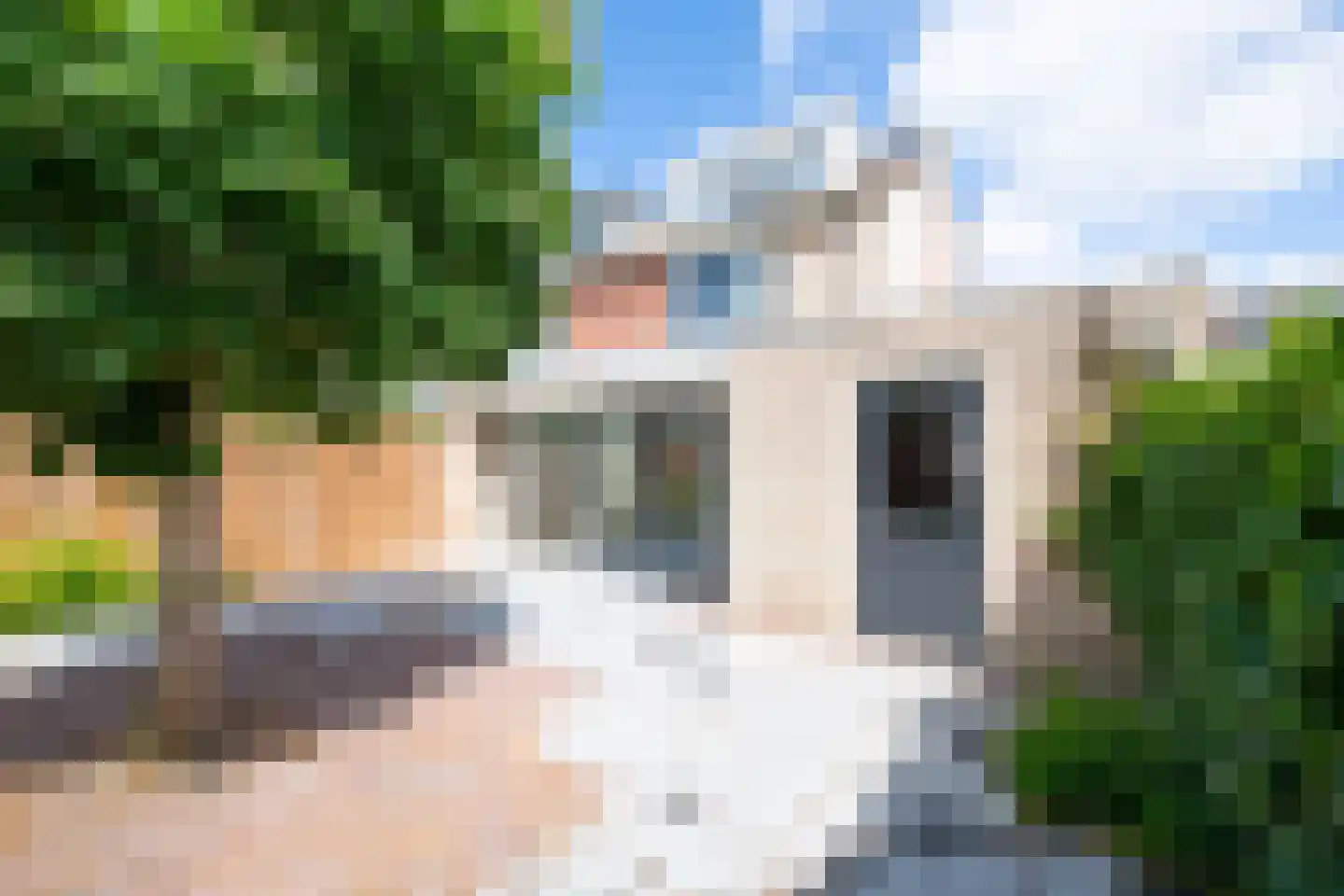 Wieder 5 Warmenhuizen foto 2