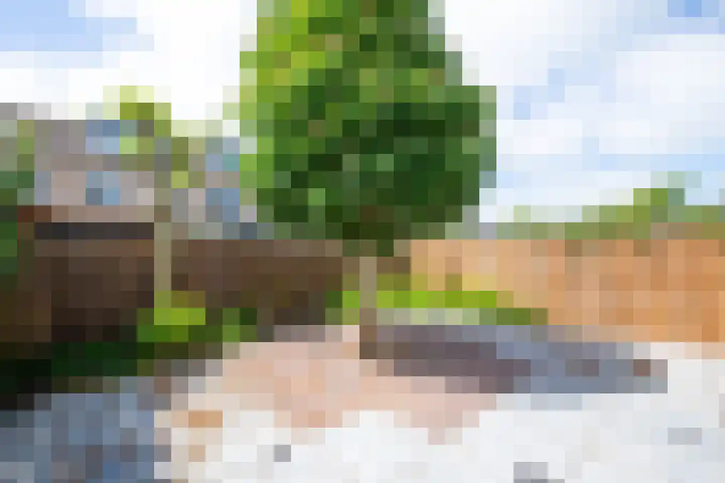 Wieder 5 Warmenhuizen thumbnail 20