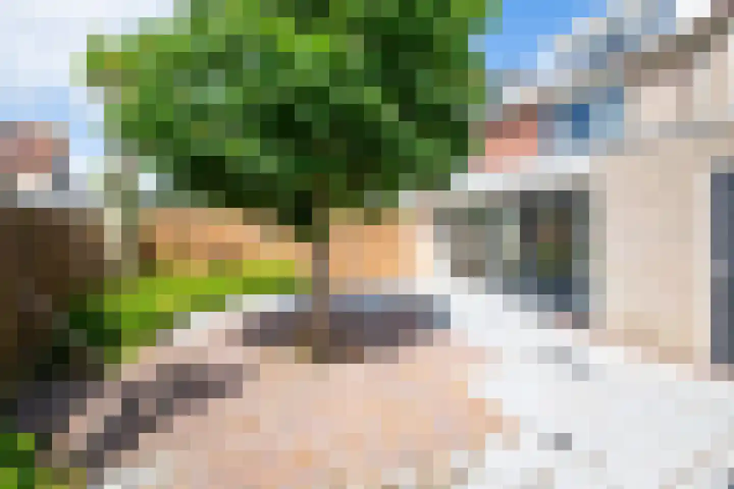 Wieder 5 Warmenhuizen thumbnail 41