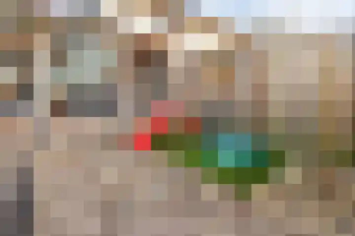 Wiederhorsten 39 Wijhe thumbnail 12