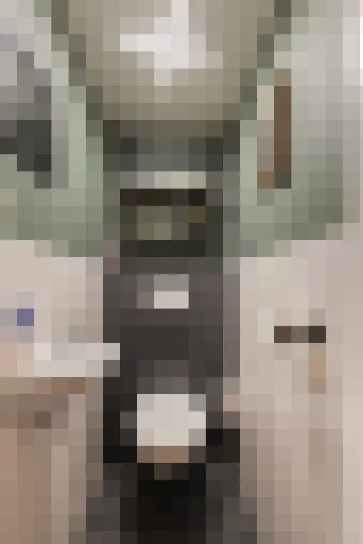 Wiederhorsten 39 Wijhe thumbnail 16