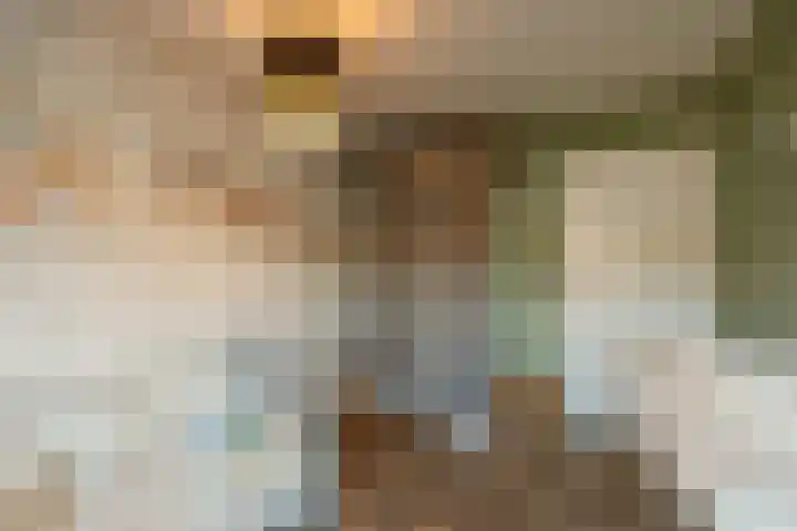 Wiederhorsten 39 Wijhe thumbnail 17