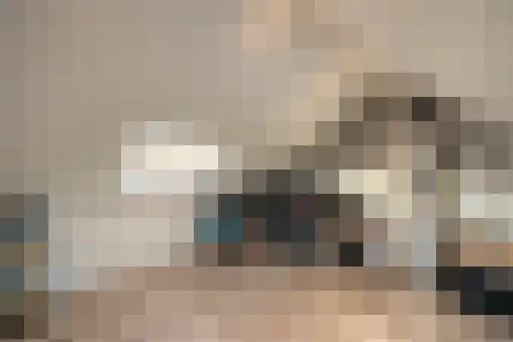 Wiederhorsten 39 Wijhe thumbnail 19