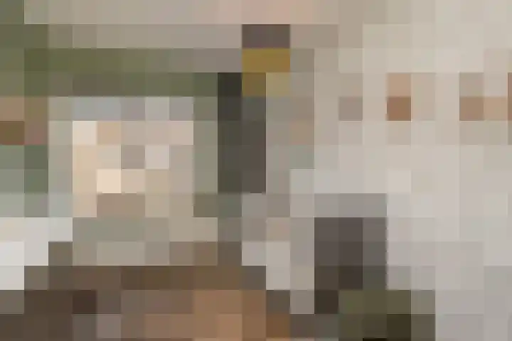 Wiederhorsten 39 Wijhe thumbnail 21