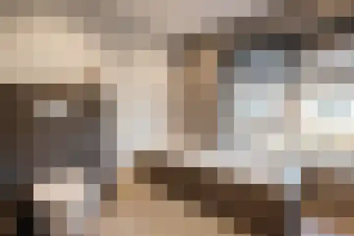Wiederhorsten 39 Wijhe thumbnail 22