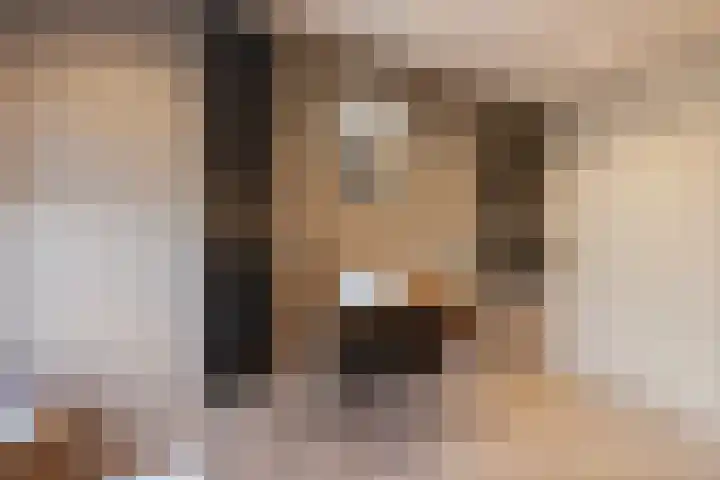Wiederhorsten 39 Wijhe thumbnail 23
