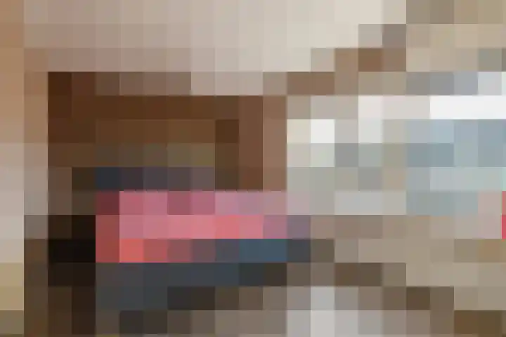 Wiederhorsten 39 Wijhe thumbnail 24