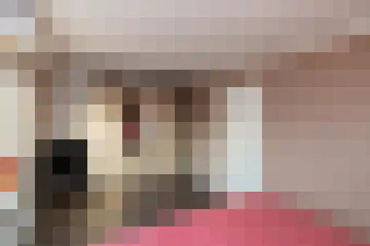 Wiederhorsten 39 Wijhe thumbnail 25