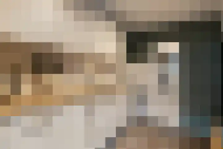Wiederhorsten 39 Wijhe thumbnail 26