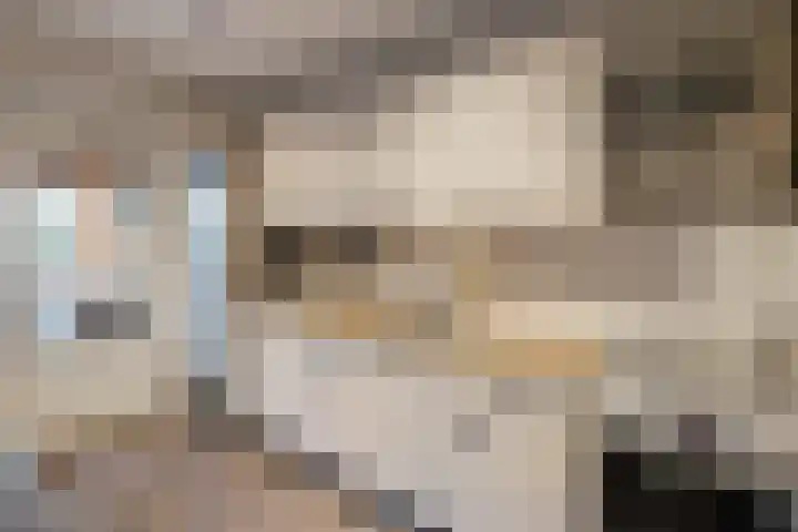 Wiederhorsten 39 Wijhe thumbnail 27