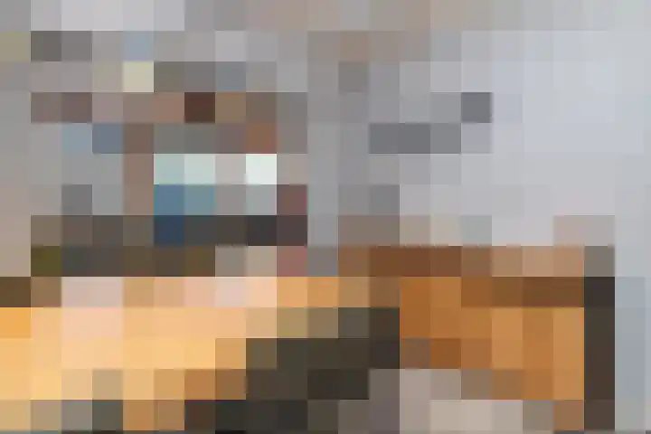 Wiederhorsten 39 Wijhe thumbnail 30