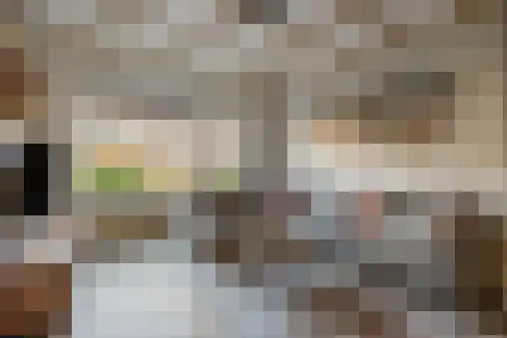 Wiederhorsten 39 Wijhe thumbnail 31