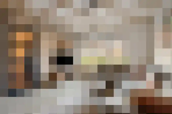 Wiederhorsten 39 Wijhe thumbnail 32