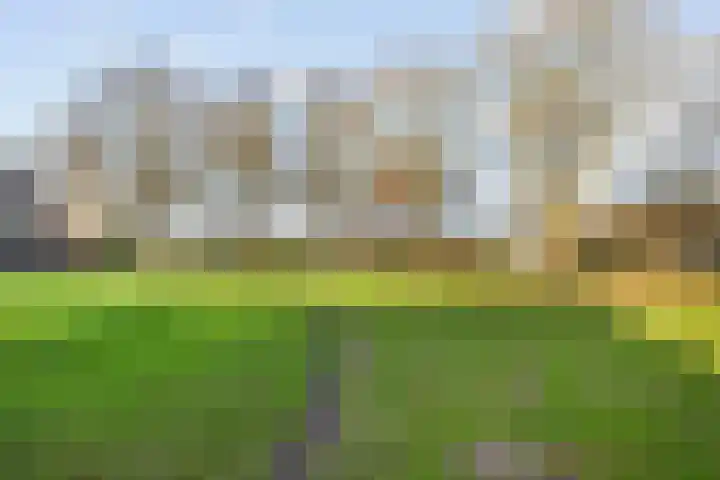 Wiederhorsten 39 Wijhe thumbnail 33