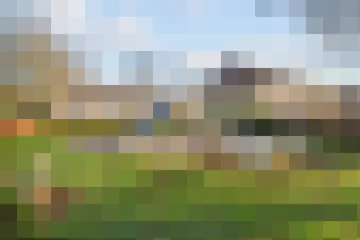 Wiederhorsten 39 Wijhe thumbnail 34