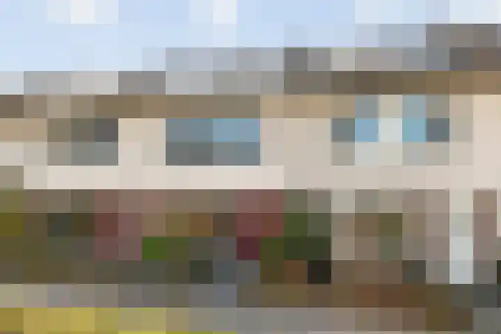 Wiederhorsten 39 Wijhe thumbnail 4