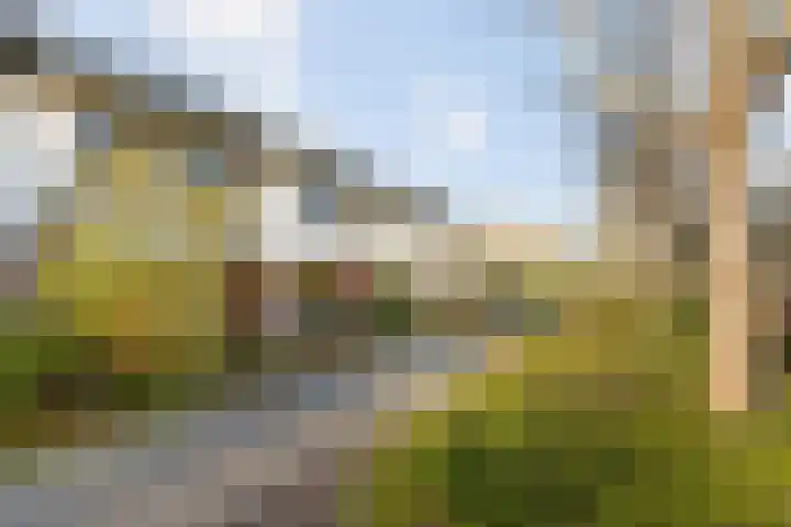 Wiederhorsten 39 Wijhe thumbnail 5