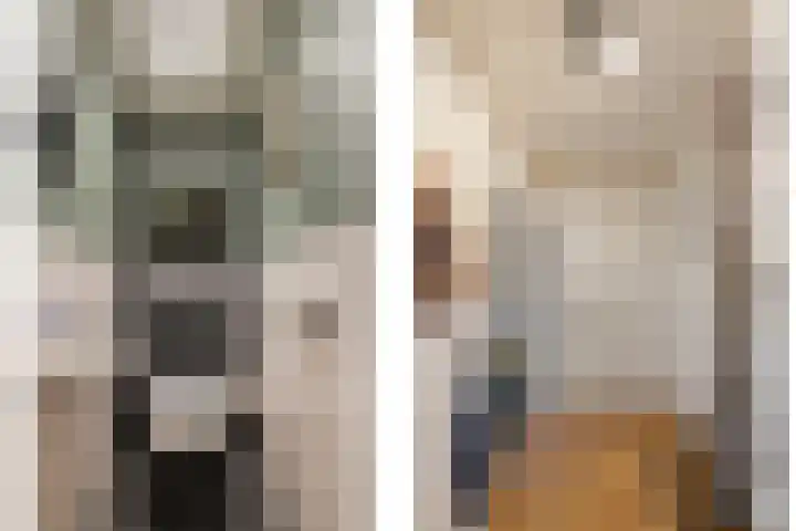 Wiederhorsten 39 Wijhe thumbnail 6