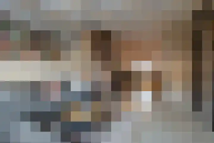 Wiederhorsten 39 Wijhe thumbnail 8