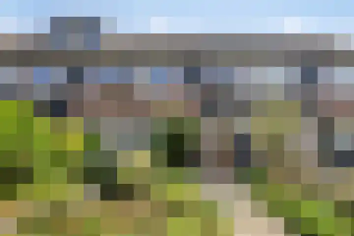 Wiederhorsten 4 Wijhe