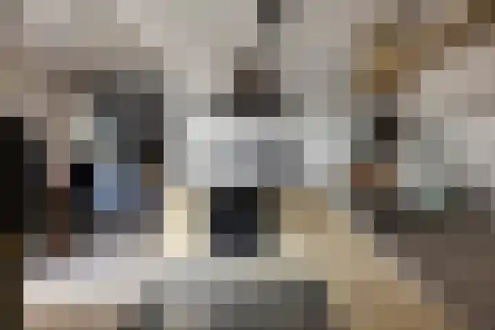 Wiederhorsten 4 Wijhe thumbnail 11