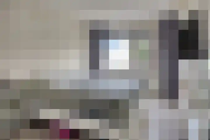 Wiederhorsten 4 Wijhe thumbnail 16