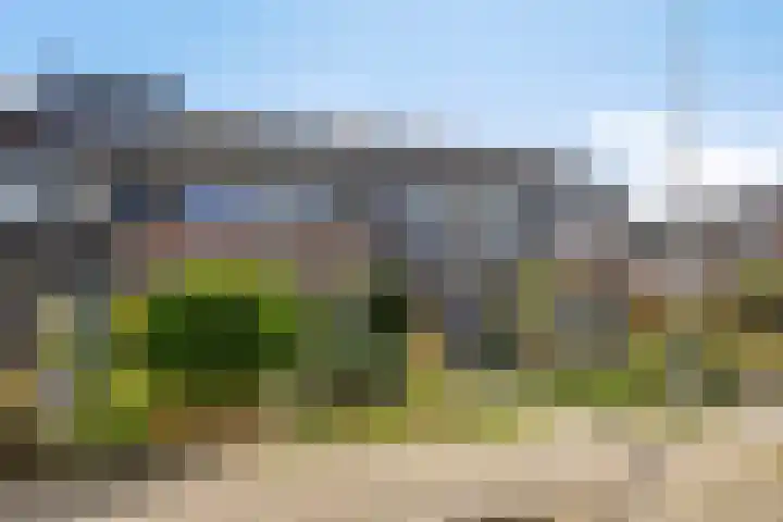 Wiederhorsten 4 Wijhe foto 2