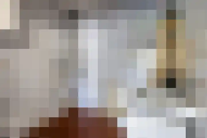 Wiederhorsten 4 Wijhe thumbnail 21