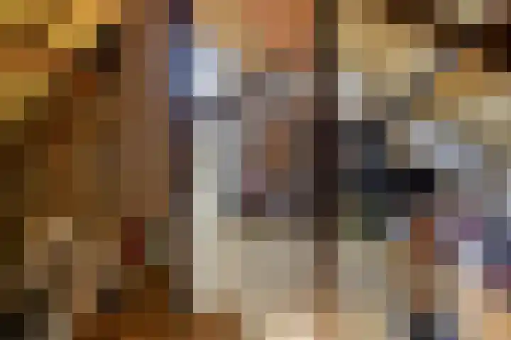 Wiederhorsten 4 Wijhe thumbnail 23