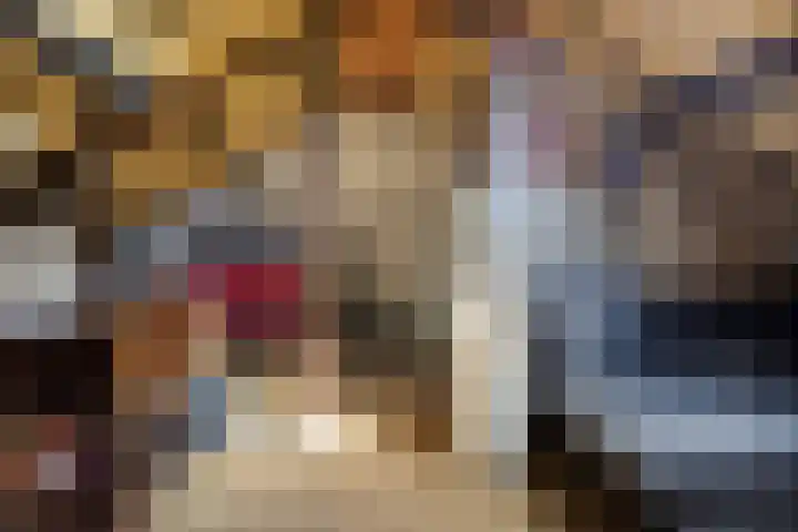 Wiederhorsten 4 Wijhe thumbnail 24