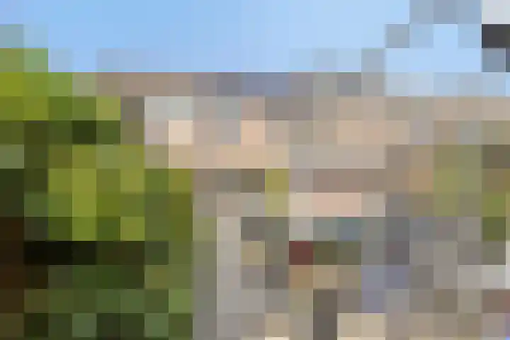 Wiederhorsten 4 Wijhe thumbnail 27