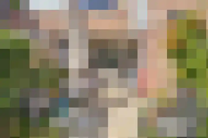Wiederhorsten 4 Wijhe thumbnail 28