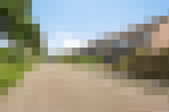 Wiederhorsten 4 Wijhe thumbnail 29