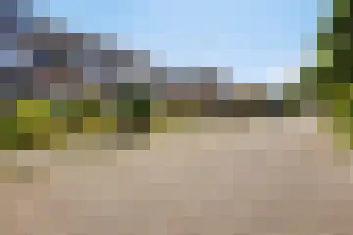 Wiederhorsten 4 Wijhe foto 3