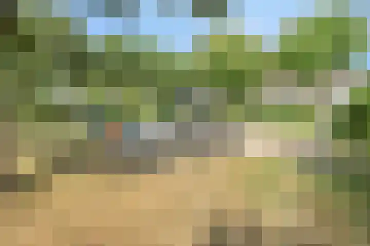 Wiederhorsten 4 Wijhe thumbnail 30