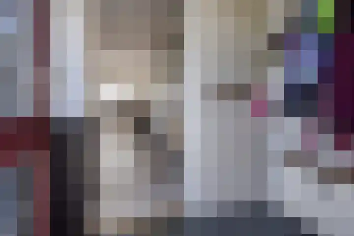 Wiederhorsten 4 Wijhe thumbnail 4