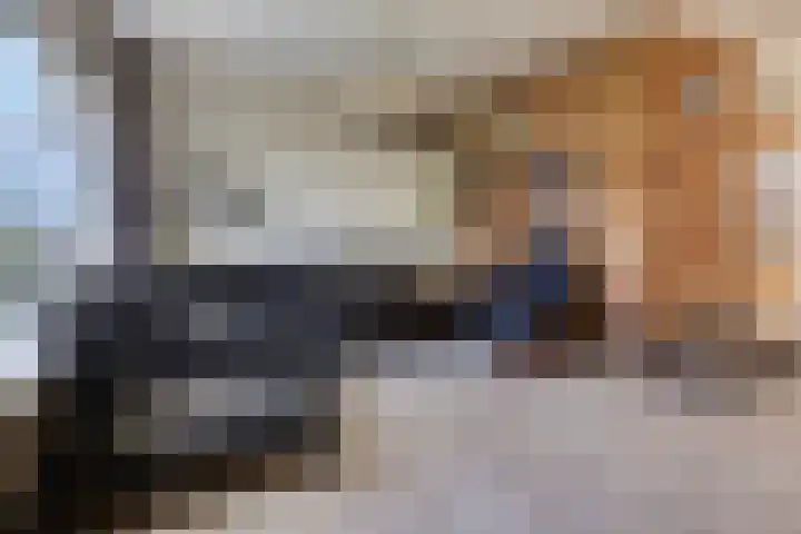 Wiederhorsten 4 Wijhe thumbnail 6