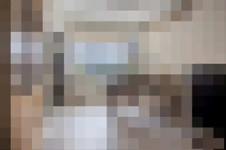 Wiederhorsten 4 Wijhe thumbnail 8