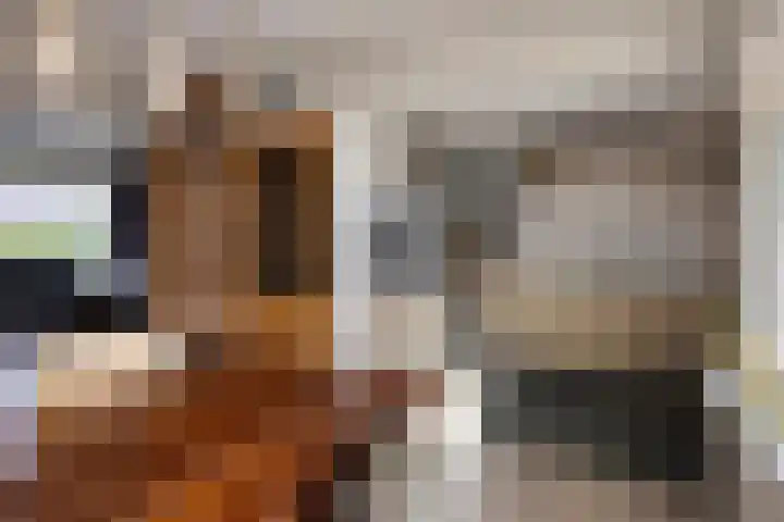 Wiederhorsten 4 Wijhe thumbnail 9