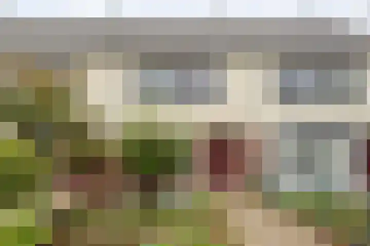 Wiederhorsten 9 Wijhe