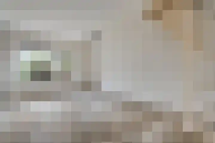 Wiederhorsten 9 Wijhe thumbnail 10