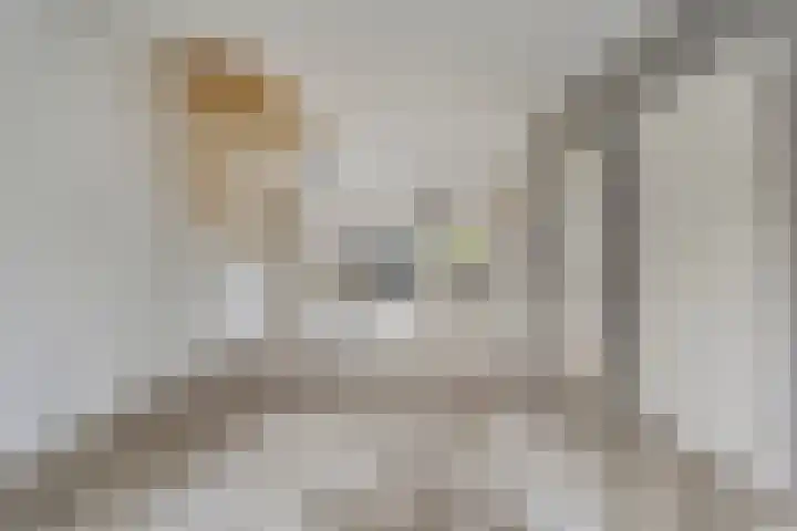 Wiederhorsten 9 Wijhe thumbnail 11