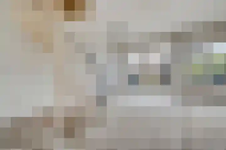 Wiederhorsten 9 Wijhe thumbnail 12