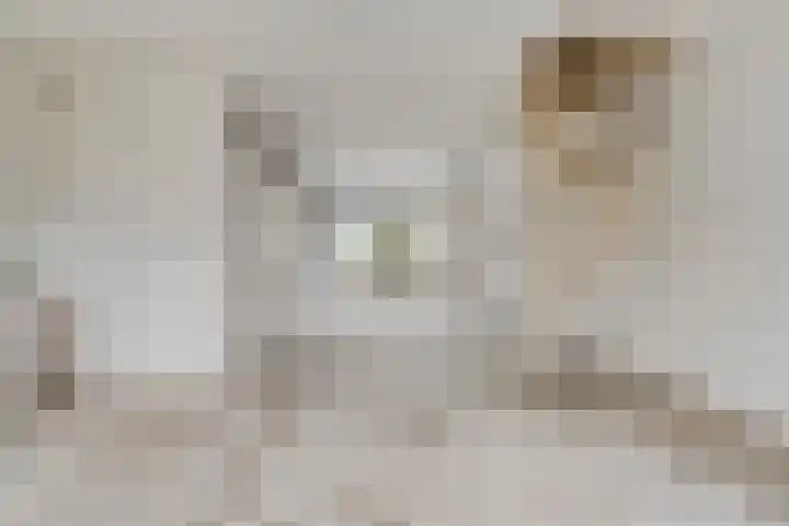 Wiederhorsten 9 Wijhe thumbnail 14