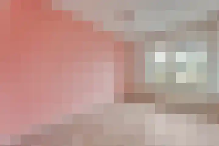 Wiederhorsten 9 Wijhe thumbnail 16