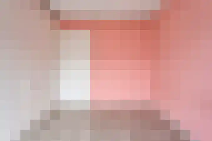 Wiederhorsten 9 Wijhe thumbnail 17